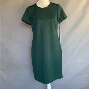 NWT Calvin Klein Green Shift Dress Size 6